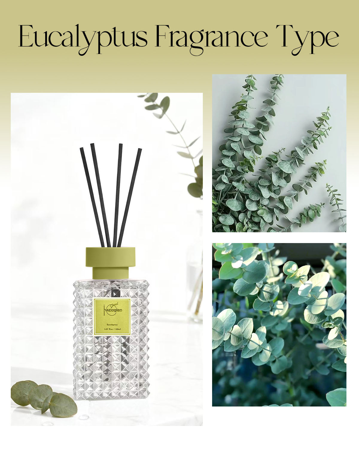 Reed Diffuser Set, Eucalyptus Scent